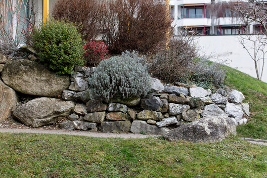Garden landscape with stone wall and various plants, offering a sense of tranquility and natural bea
