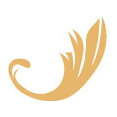 Golden Flourishes calligraphic vector