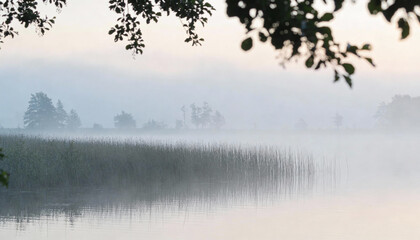 fog on the lake