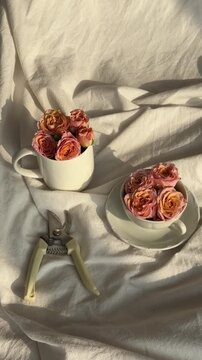 peach roses in white cup on rumpled bed sheets with scissors.