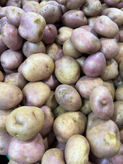 Potatoes showing fresh harvest and raw vegetable food