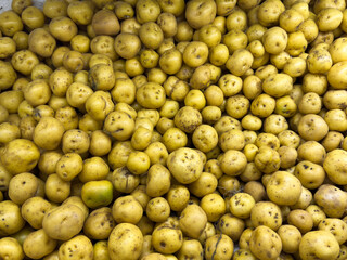 Fresh yellow potatoes background texture from harvest