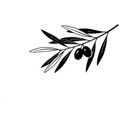 Stylized Olive Branch Illustration Featuring Elongated Leaves and Minimalist Black and White Botanical Design