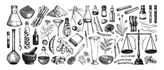Vintage apothecary equipment set. Traditional medicine ingredient sketches. Laboratory glassware, herbs, roots, mushrooms hand drawn vector illustration NOT AI generated. 