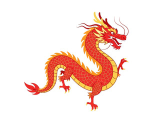 Obraz premium Stylized red and gold Chinese dragon illustration on a white background
