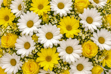 Obraz premium Seamless floral background of white and yellow daisies with yellow roses and small wildflowers. Bright spring flower pattern ideal for backgrounds, wallpapers, cards, branding and seasonal designs.