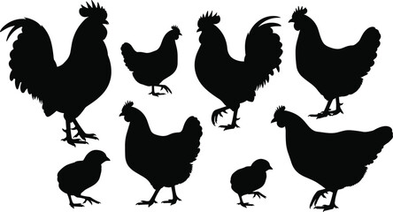 Set of black chicken silhouettes, rooster and hen silhouettes, farm birds and poultry icons isolated on white background for farm design and agriculture, vector illustration. © Vector World