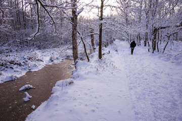 Winter Wanderung im Kaltenhofer Moor.