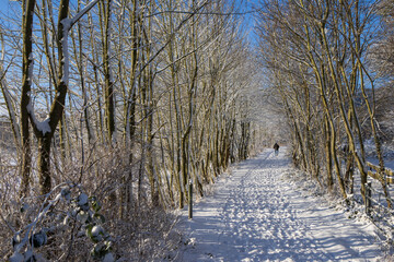 Winter Spaziergang am Feldweg mit B&auml;umen im Schnee.