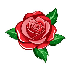 Vibrant red rose with lush green leaves on white background