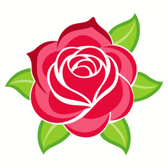 Vibrant pink rose with lush green leaves on white background