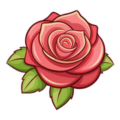 Vibrant pink rose with lush green leaves on white background