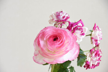 Fototapeta premium 薔薇とラナンキュラス