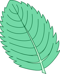 Leaf of mint. Green plant. Vector illustration. © valeria_hmarka