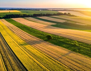Obraz premium Aerial view of golden fields and green patches under a bright, sunny, golden sky at sunset