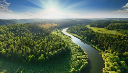 aerial view of a winding river flowing through a lush green forest under sunlight