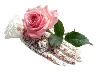 Pink rose resting on delicate lace glove.