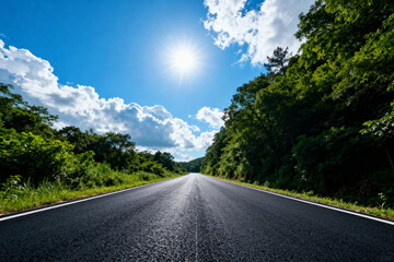 Scenic Asphalt Road Through Lush Green Forest