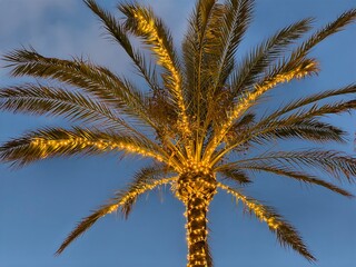 festival night display, vibrant festival lights cast glow on palms amid lively outdoor celebration