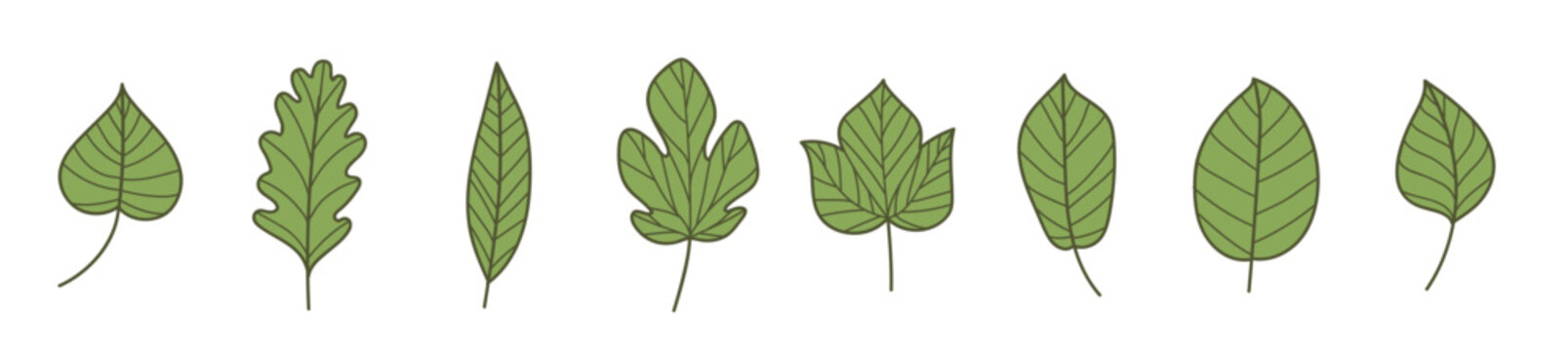 Assorted Green Leaf Illustrations with Geometric Style and Subtle Shadows vector illustration.