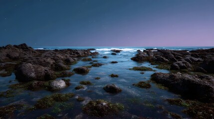 Rocky coastline at twilight under a dark starry sky with gentle ocean waves