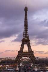 Naklejka premium View of the Eiffel Tower from the Champ de Mars,