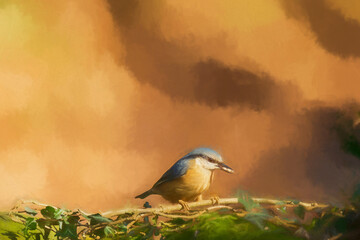 Digital illustration portrait of an Eurasian Nuthatch in the forest.