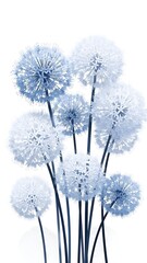Happy valentine's day festival image with beautiful white dandelion flowers