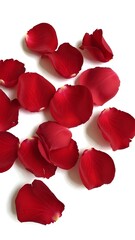 Romantic red rose petals for happy valentine's day festival celebration