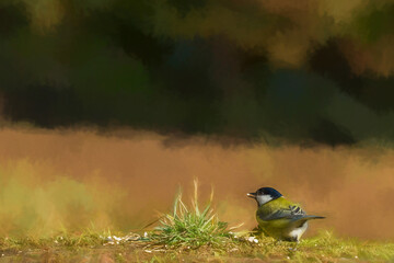 A digital illustration of a lone Parus major, Great Tit feeding on a stone wall.