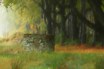 A digital illustration of arching beech trees with autumn foliage and a misty woodland path at Upper Moor in the Derbyshire Dales.