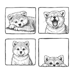 Japanese Akita Dog Face Expression Line Art Icon Set Featuring Cute Emotional Variations in Hand Drawn Black and White Vector Illustration
