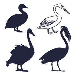 Silhouettes of various birds