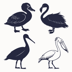 Collection of bird silhouettes