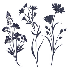 Silhouette of wildflowers