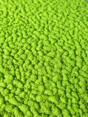 Zbliżenie na powłokę z glonów © Kumulugma