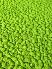 Zbliżenie na powłokę z glonów © Kumulugma