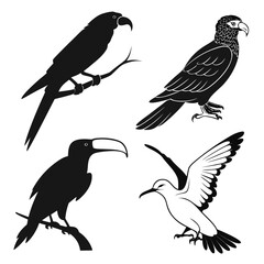 Silhouettes of various birds