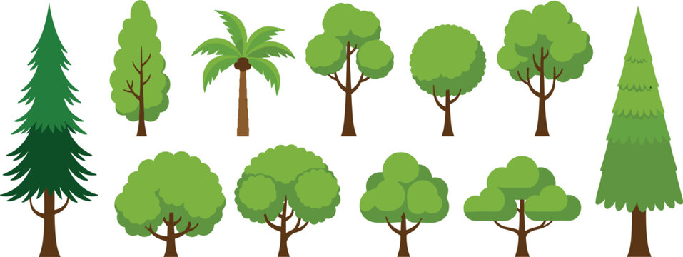 Vector Illustration Set of Diverse Green Trees and Tropical Palm