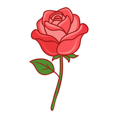 Red Rose Flower with Green Leaves and Stem Vector Illustration