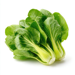 Fresh green bok choy with leafy stems, vibrant and crisp