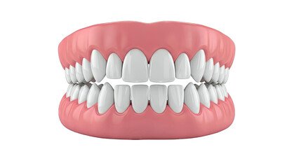 Fototapeta premium Realistic 3D Render of Human Teeth and Gums