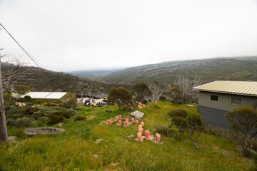 Charlotte Pass Village During Summer in Australia
