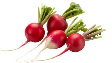 Fresh radish for healthy meals