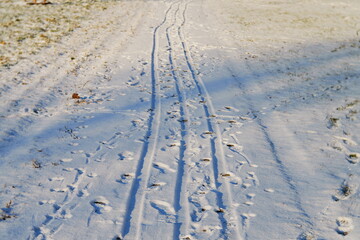 Fototapete bei efototapeten.de bestellen   