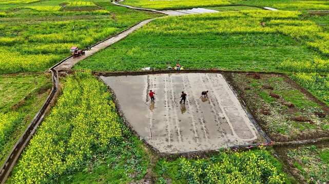 Real Rural China: Manual Labor in Mud During Spring Planting Season, Scenic Landscape