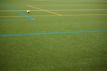 Artificial Football Field with White Marking Lines © Roman