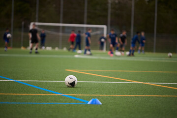 Artificial Football Field with White Marking Lines © Roman