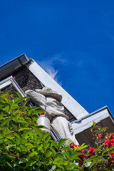 Wasp extermination in the roof of a house