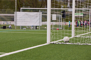 Artificial Football Field with White Marking Lines © Roman